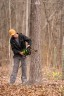 Цепная пила Greenworks GD60CS40 Gen 2, 60v, 40 см, без АКБ и ЗУ (аккумуляторная)