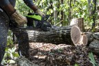 Цепная пила Greenworks GD60CS25 Gen 3, 60v, 40 см, без АКБ и ЗУ (аккумуляторная)