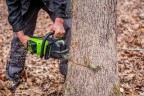 Цепная пила Greenworks GD60CS25 Gen 3, 60v, 40 см, без АКБ и ЗУ (аккумуляторная)