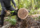 Цепная пила Greenworks GD60CS25k4 Gen 3, 60v, 40 см, в комплекте с АКБ 4 А·ч и ЗУ (аккумуляторная)