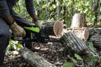 Цепная пила Greenworks GD60CS25k4 Gen 3, 60v, 40 см, в комплекте с АКБ 4 А·ч и ЗУ (аккумуляторная)