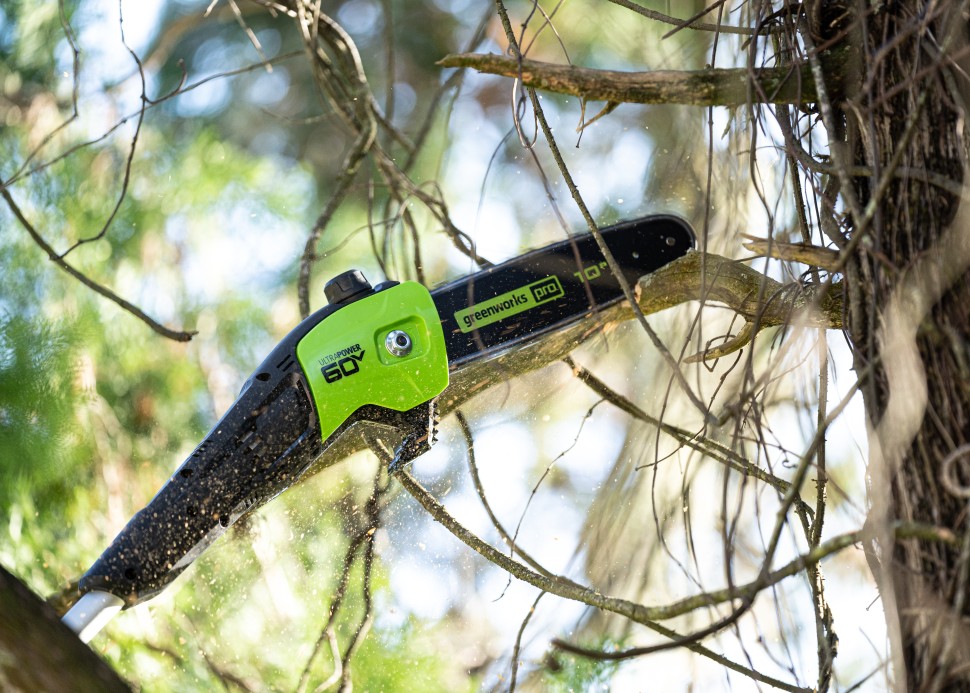 Сучкорез Greenworks GD60PST25, 60v, 25 см, без АКБ и ЗУ (аккумуляторный)