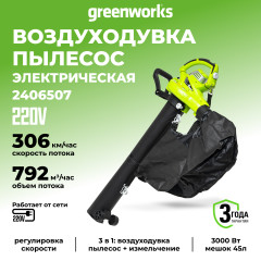 Садовый пылесос и воздуходув BL3000, 3000 Вт (сетевой, 2в1)