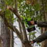 Цепная пила Greenworks GD24CSMNXk2, 24v, 15 см, в комплекте с АКБ 2 А·ч и ЗУ (аккумуляторная, мини)