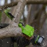 Цепная пила Greenworks GD24CSMNXk2, 24v, 15 см, в комплекте с АКБ 2 А·ч и ЗУ (аккумуляторная, мини)