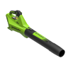 Аккумуляторная воздуходувка Greenworks G24BIIIk4, 24v, 145 км/ч, 544 м³/ч, в комплекте с АКБ 4 А·ч и ЗУ