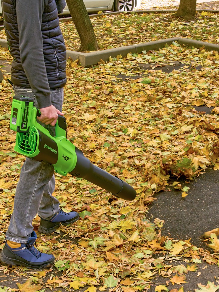 Воздуходув Greenworks GD40BG3k8, 40v, 306 км/ч, 1.26 кВт, в комплекте с АКБ 8 А·ч и ЗУ (аккумуляторный)