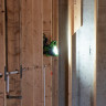 LED-прожектор Greenworks G40WLH с гибридным питанием, 40V / 220V, 1000/2000 лм, крюк для подвеса, крепление на стену, кабель 30 см, без АКБ и ЗУ