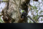 Высоторез/Сучкорез аккумуляторный телескопический Greenworks PS102T, 25 см, бесщеточный, без АКБ и ЗУ 