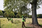 Высоторез/Сучкорез аккумуляторный телескопический Greenworks PS102T, 25 см, бесщеточный, без АКБ и ЗУ 