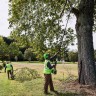 Высоторез/Сучкорез аккумуляторный телескопический Greenworks PS102T, 25 см, бесщеточный, без АКБ и ЗУ 
