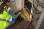 LED-прожектор Greenworks G82WLH с гибридным питанием, 82V / 220V, 1250/2500 лм, крюк для подвеса, крепление на стену, кабель 30 см, без АКБ и ЗУ 