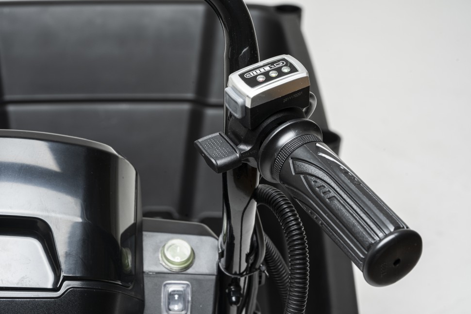 Садовая тележка Greenworks 82GC, 82v, 106 л, без АКБ и ЗУ (аккумуляторная, самоходная)