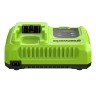 Ультрабыстрое зарядное устройство Greenworks G24C8, 24V, 8A 