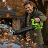 Воздуходувка аккумуляторная Greenworks BL2900C, 24V, бесщёточная, без АКБ и ЗУ