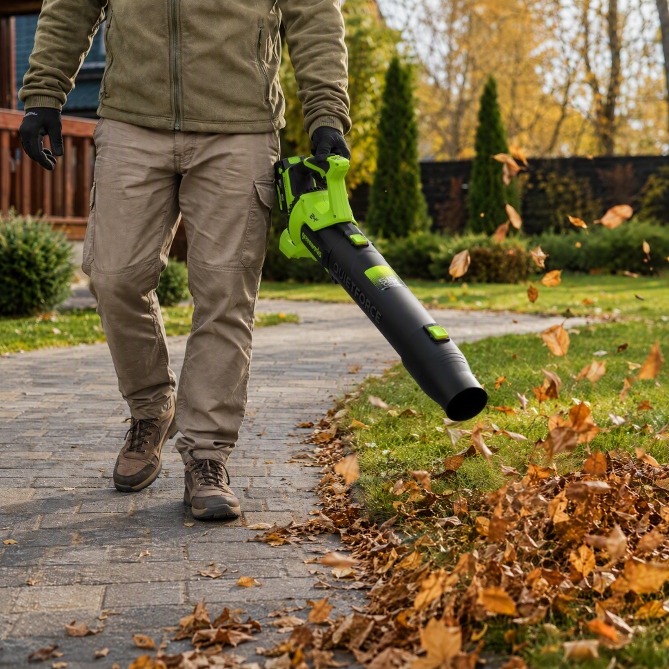 Воздуходувка аккумуляторная Greenworks BL2900C, 24V, бесщёточная, без АКБ и ЗУ