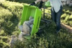 Садовая тележка Greenworks G40GCk5, 40v, 106 л, в комплекте с АКБ 5 А·ч и ЗУ (аккумуляторная, самоходная)