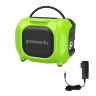 Беспроводная колонка Greenworks GPT-MNBS, 24v/220v, без АКБ и ЗУ (аккумуляторная и сетевая)